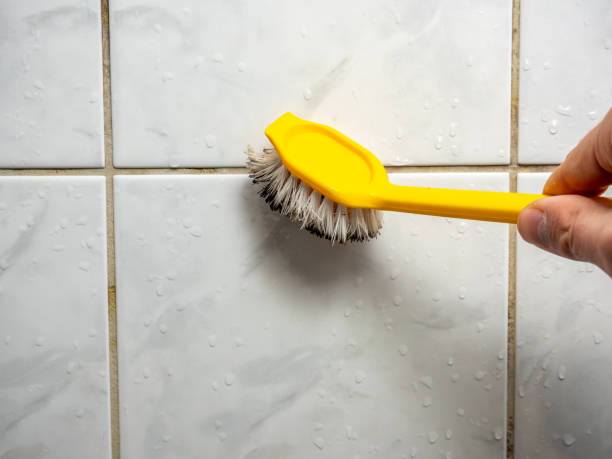 Attic Mold Removal in Vale, OR