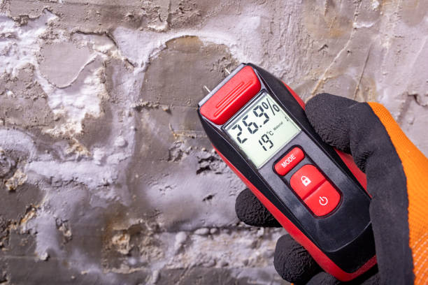 Best Toxic Mold Removal  in Vale, OR