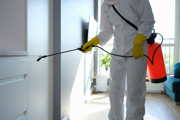 Best Mold Remediation Experts  in Vale, OR